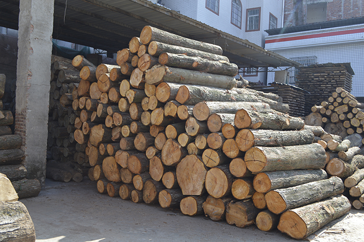 廠(chǎng)容廠(chǎng)貌